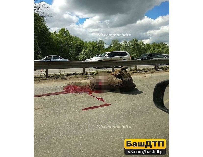 Фото: "БашДТП"