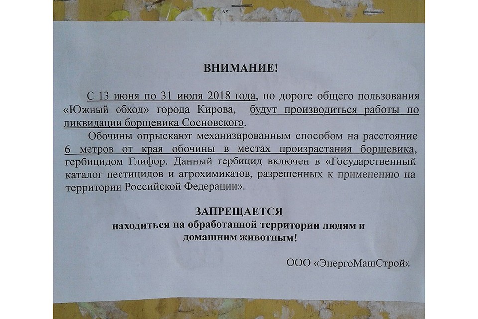 Территорию Нововятского района обработают от борщевика. Фото: vk.com/zlo43