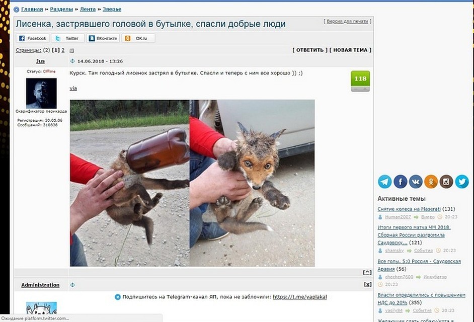 Малыш едва остался жив
