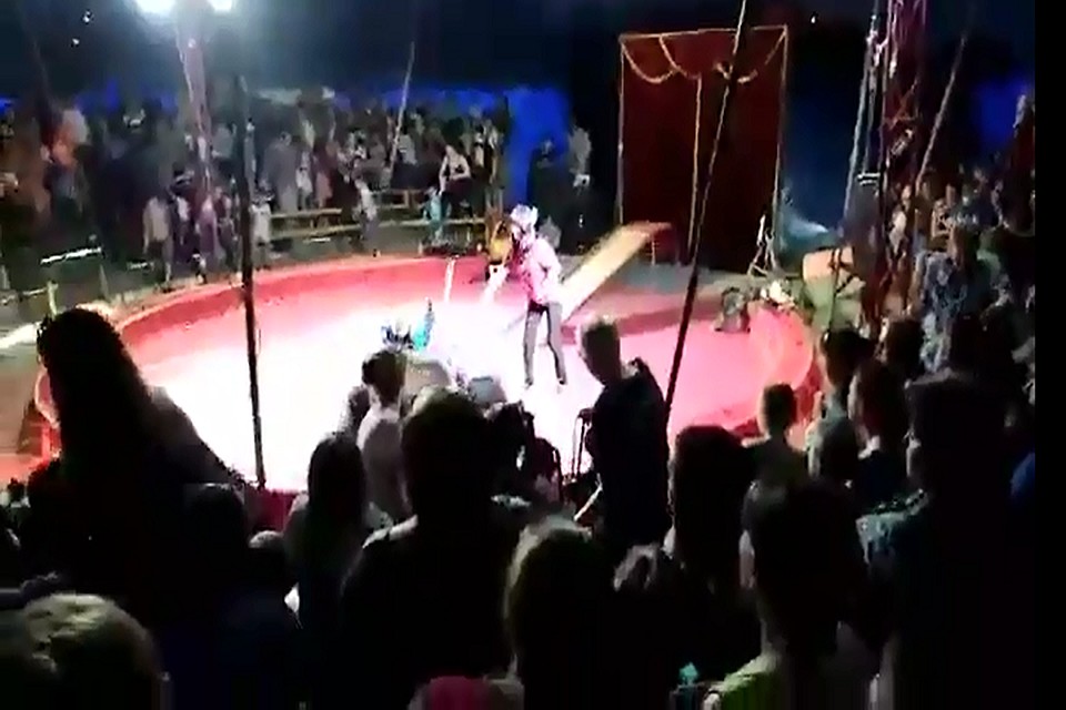 Человеку удалось выжить после нападения медведя. Фото: скриншот с видео