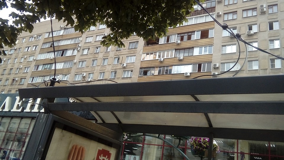 Фото: Денис Иванов.