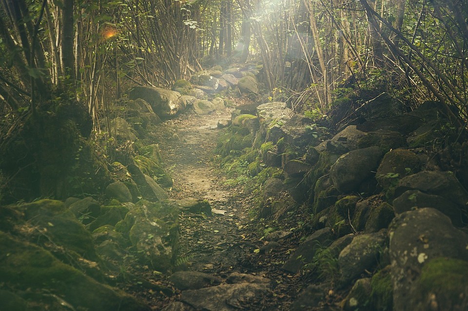Фото: SplitShire in pixabay.com