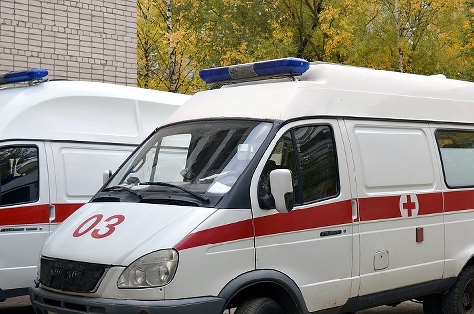 Фото с сайта пиксабай