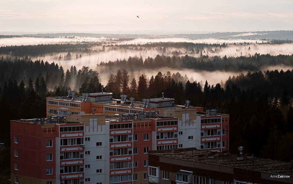 Фото: Амир Закиров