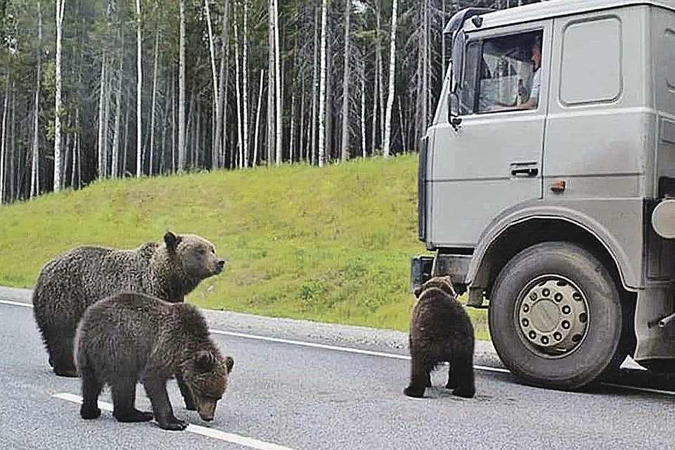 Фото: Денис АДЕЕВ