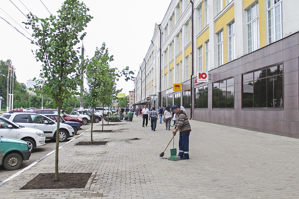 Молодые деревья уже радуют жителей города. Фото: управление информацией администрации Твери