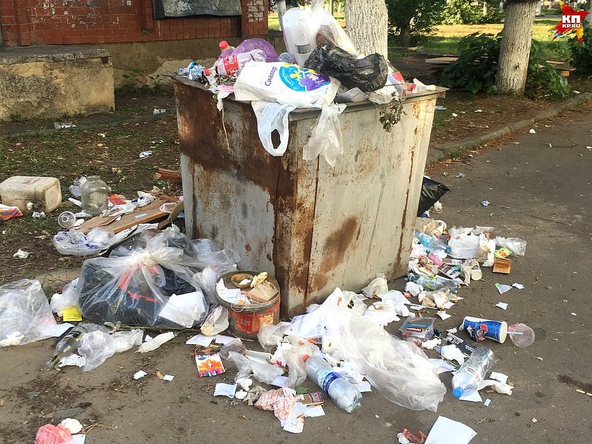 В Орловской области убрали более 350 нелегальных свалок