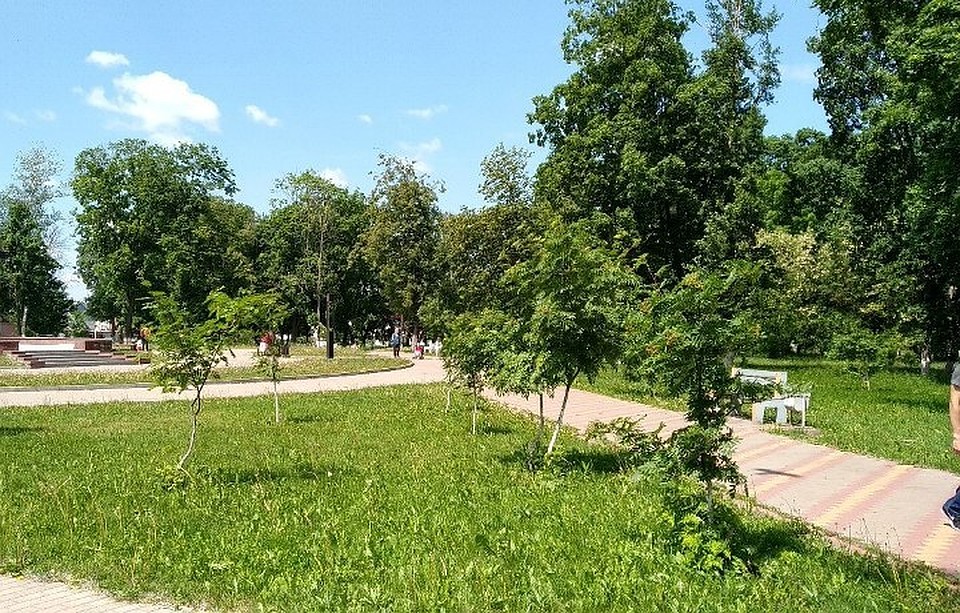 Количество пострадавших от клещей растет