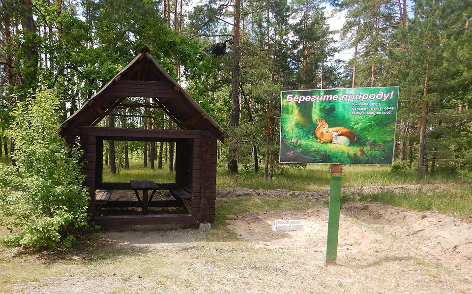Фото: пресс-служба администрации Тамбовской области