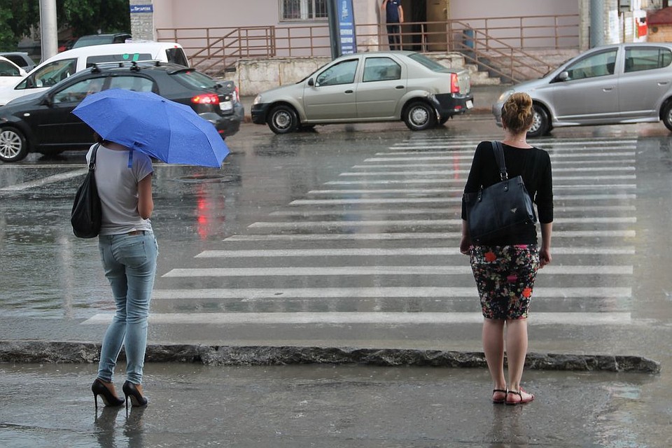 Новосибирску пообещали дожди.