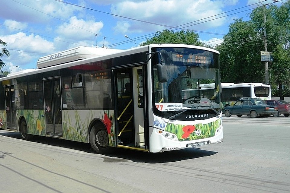 Популярность петербургского автобуса у горожан, растет.