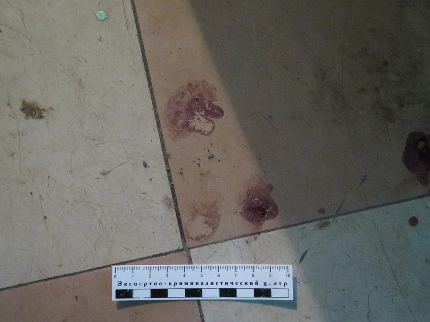 Фото: СУ СКР по Свердловской области