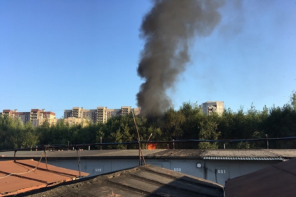 В Приморском районе полыхал многометровый огонь. Фото: vk.com/spb_today