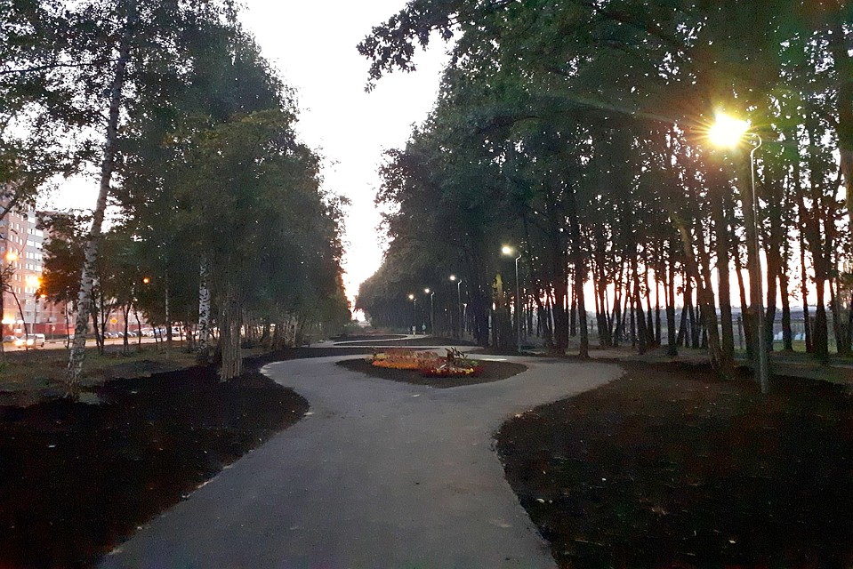 Дубовая роща в Липецке