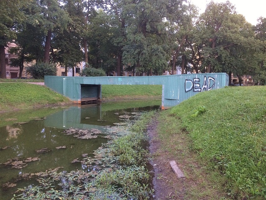 Фото пруда выкладывают в соцсетях