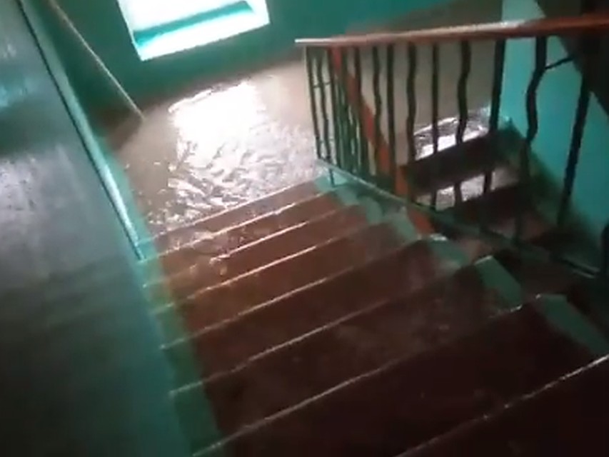 фото: скриншот видео