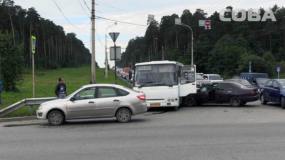 Фото: служба спасения "Сова"