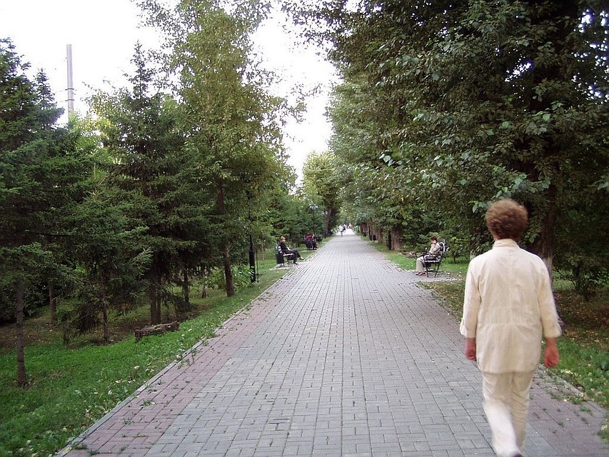 В Томске продолжают благоустраивать проспект Кирова.