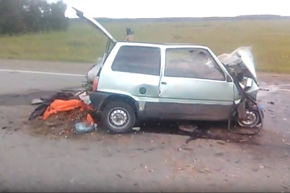 Кадр с видео Дмитрия Журавлева