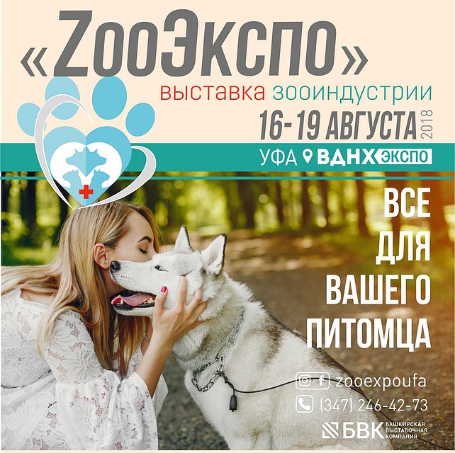 Выставка животных и всего для животных.