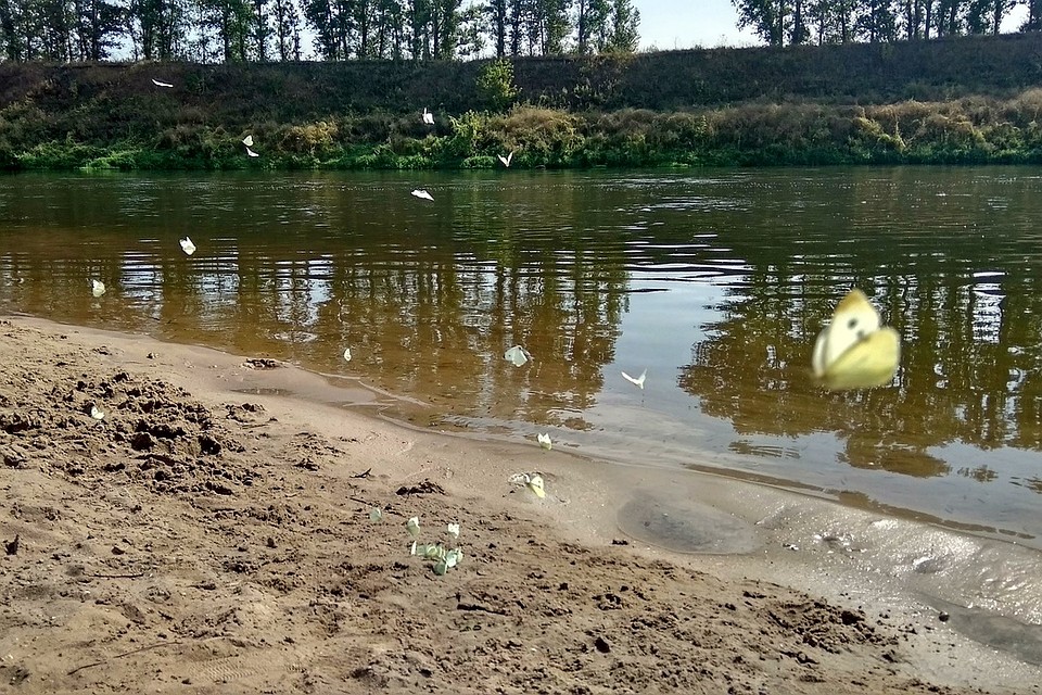 Хоть в городе и жарко, вода в водоемах уже холодная