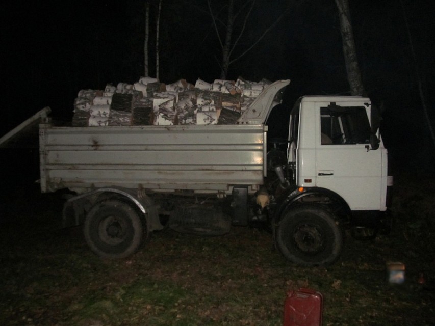 Под Томском задержаны "лесные браконьеры". Фото: пресс-службы УМВД по Томской области.