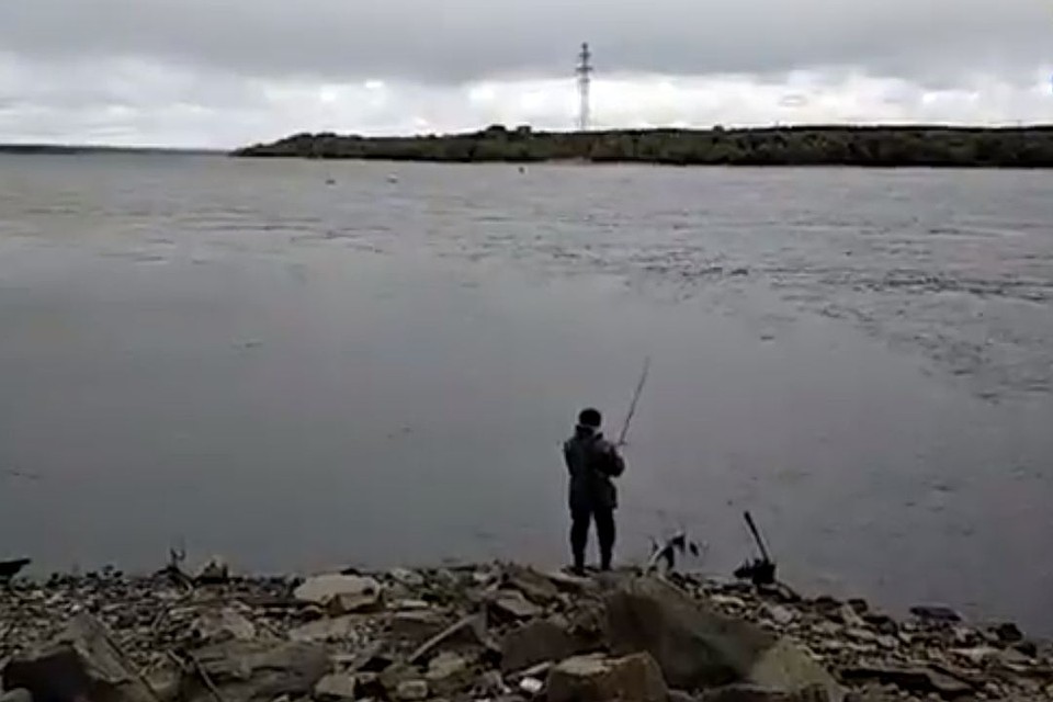 Пьяный мужчина полез в в одежде в воду и утонул. Стоп-кадр с видео МАСС.