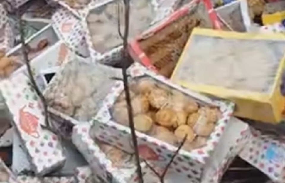 Горы сладостей на мусорке Фото: Мегаполис