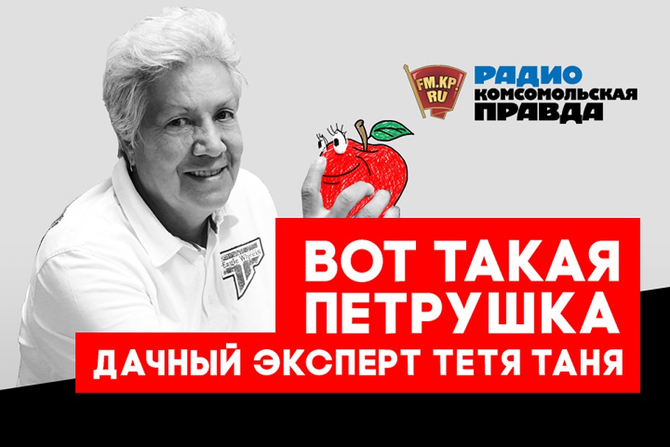 Как подготовить участок к зиме