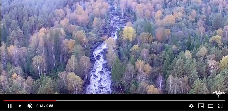Кадр с видео.