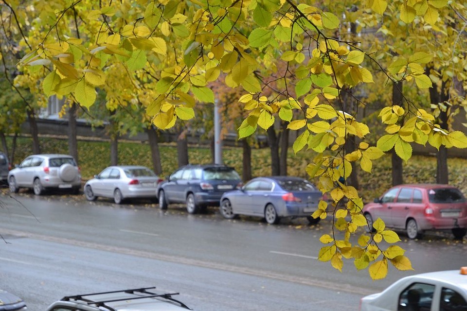 В город вернулась осенняя погода, а с ней и похолодание.