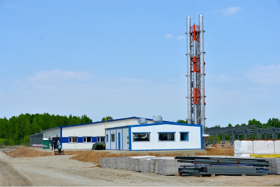 Почти 300 поросят приехали в Хабаровский край из Оренбургской области