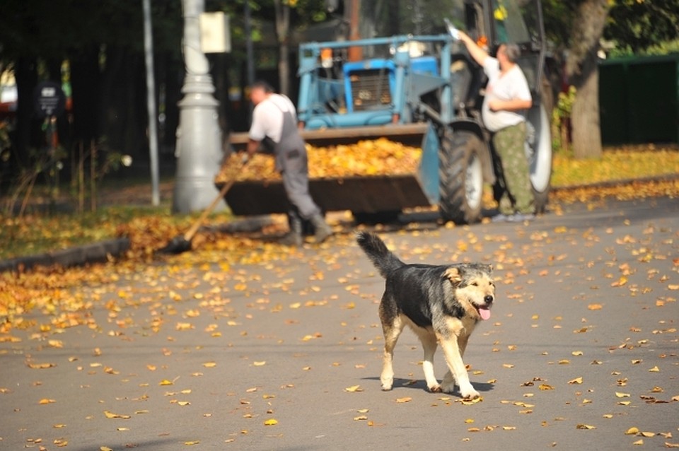 Ночью солнце будет прогревать воздух, но ночью он остынет