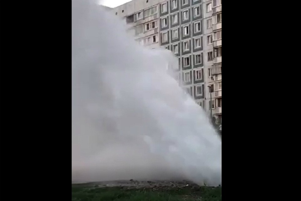 Фото: скриншот с видео