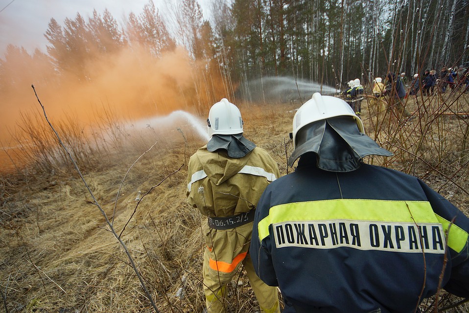 С начала пожароопасного сезона огнеборцы ликвидировали 475 лесных пожаров