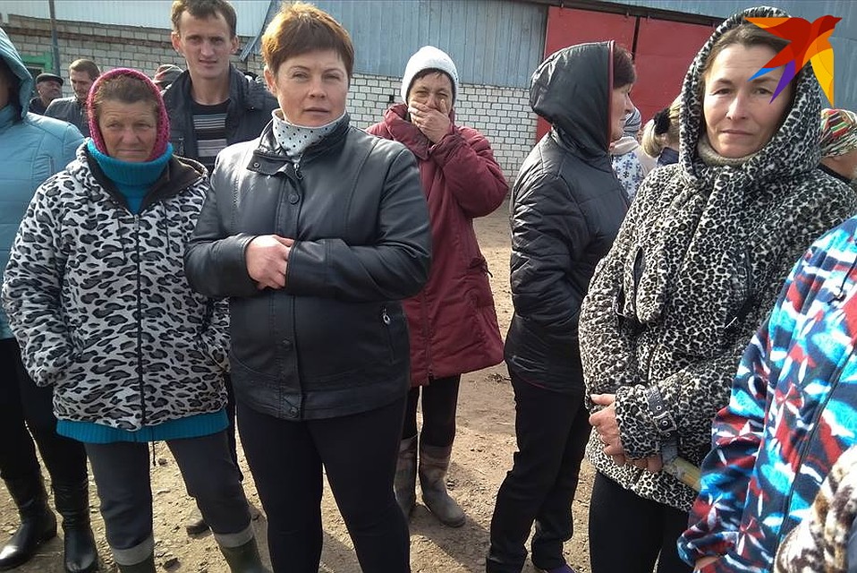 На Гомельщине доярки и трактористы отстояли председателя, которого хотели уволить