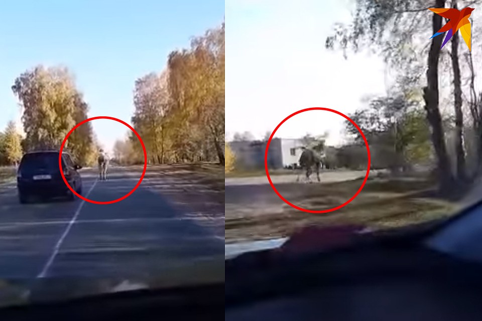 Фото: скриншоты.