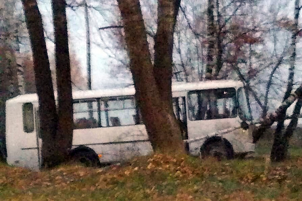 В результате аварии погибли четыре человека, в том числе ребенок
