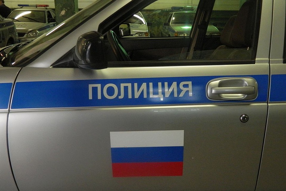 Полтора миллиона в кювете: угонщик разбил дорогой пикап в ДТП под Новосибирском.