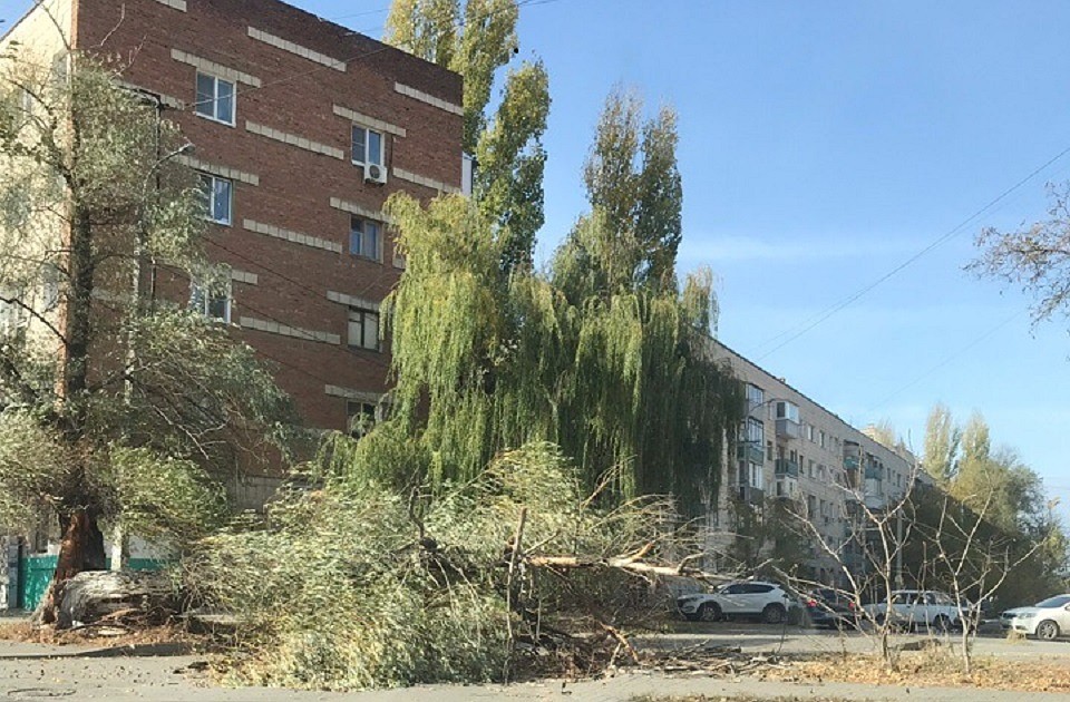 Фото Александр Барышев.