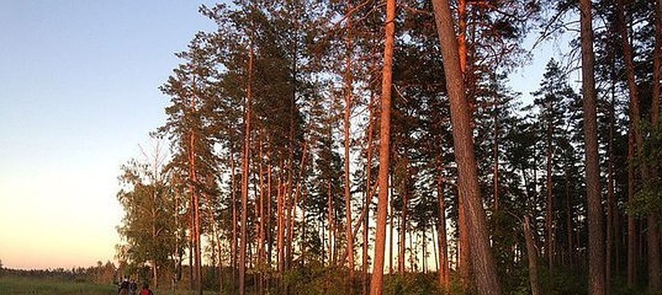 Выйти из леса стоило женщинам немалых нервов.