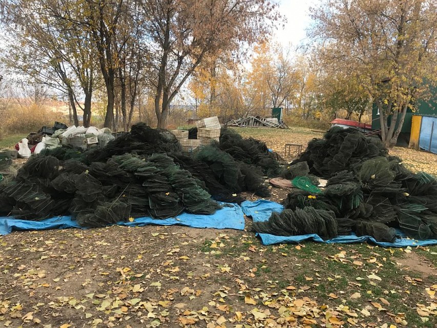 Фото: ГУ МВД по Самарской области