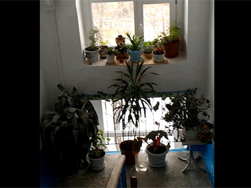 Подъезд образцового быта. Фото: кадр из видео vk.com/chel_kop