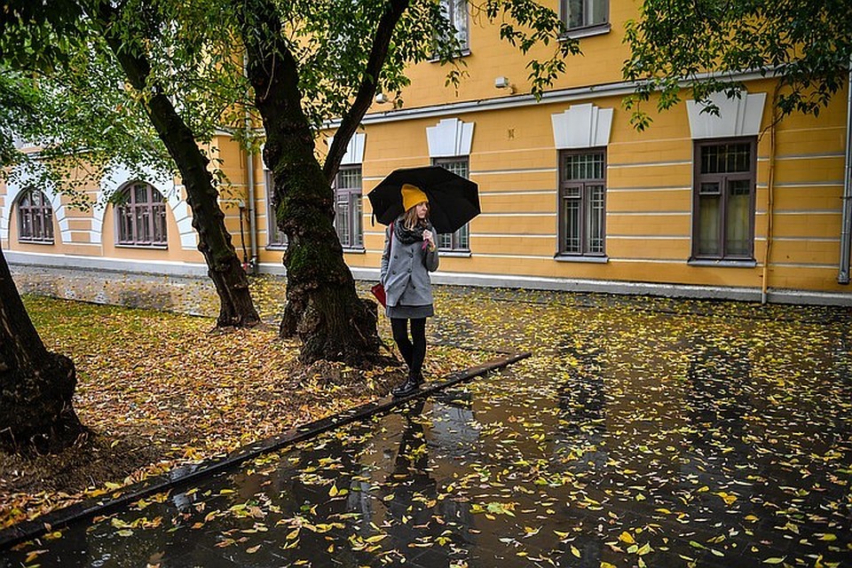 1 ноября в Петербурге будет тепло и без осадков.