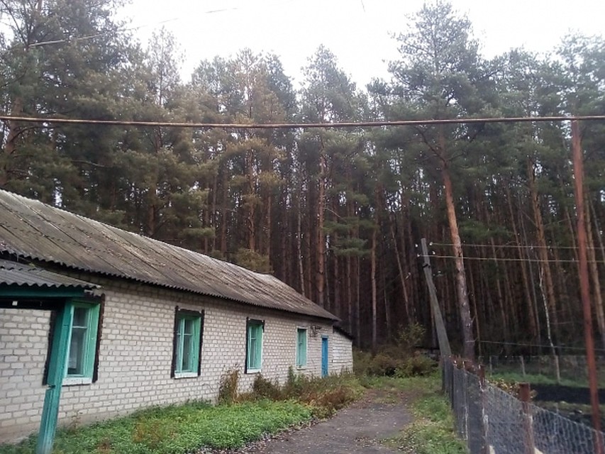 Фото с сайта ОНФ
