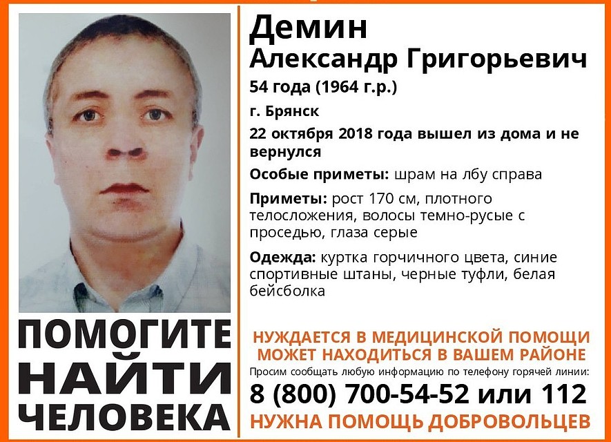 Фото: поисковый отряд "Лиза Алерт" Брянск"