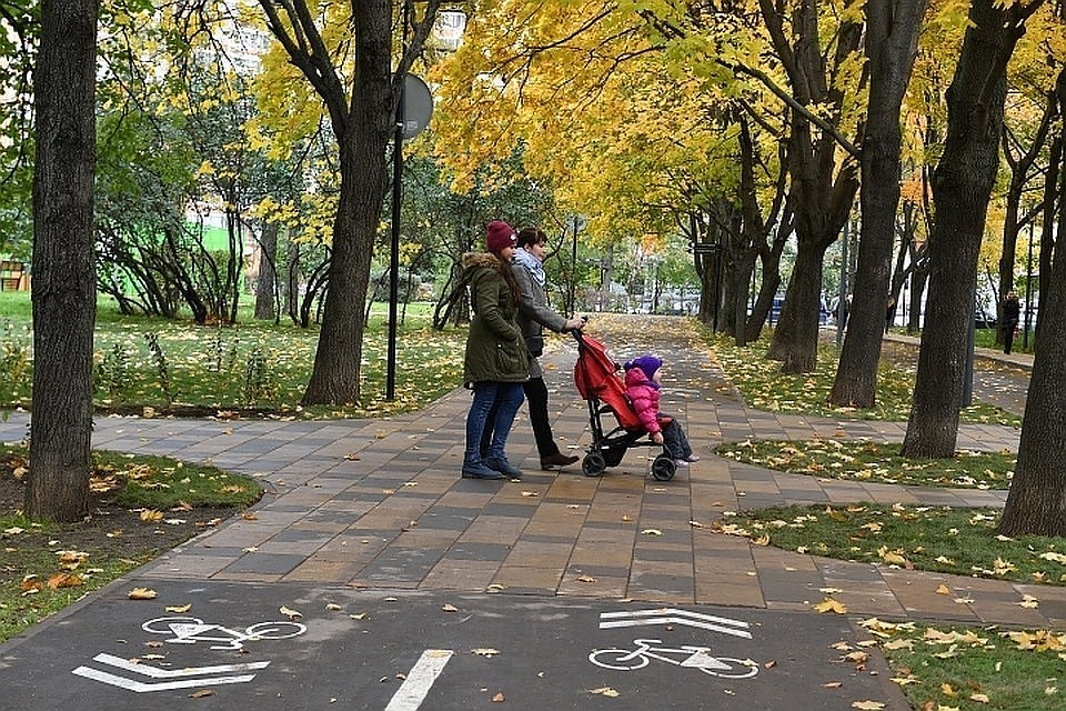Москвичей порадует теплый ноябрь