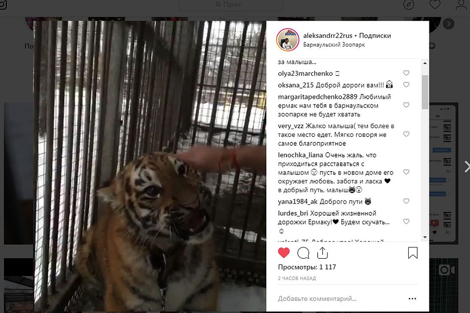 Инстаграм Александра Чеботарева