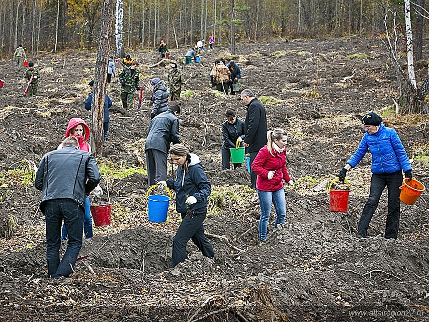 Акция прошла в лесничествах региона в сентябре - октябре.