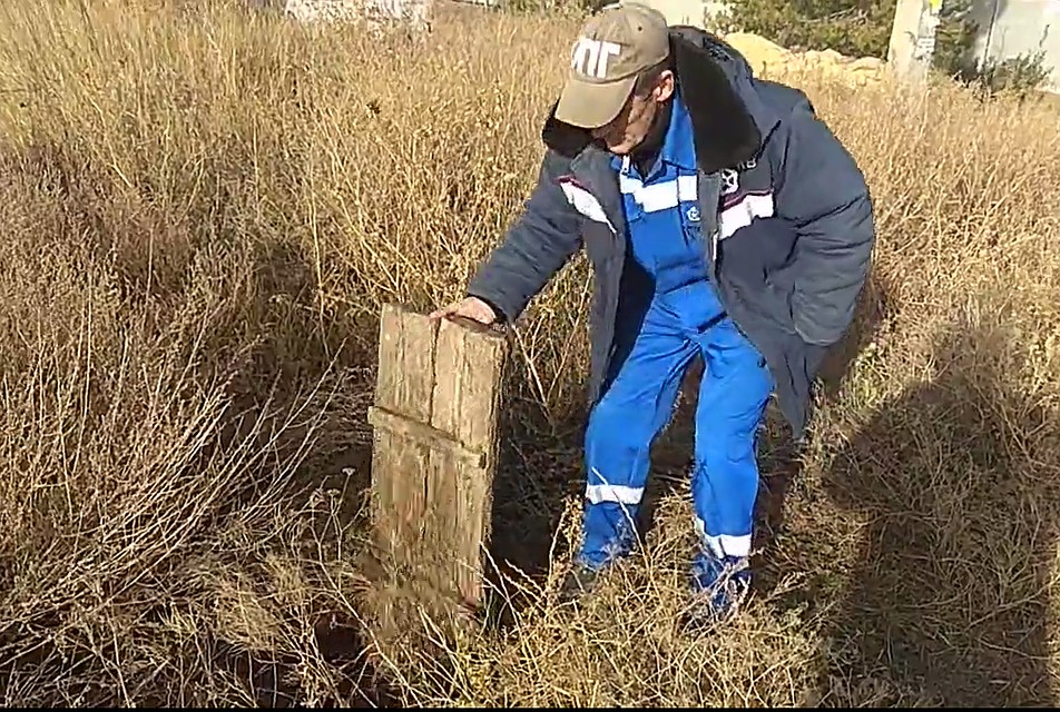 Собака фотографироваться отказалась, а сразу удрала.